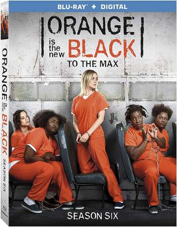 Orange Is the New Black S06 Complete Dual Audio Hindi 720p 480p WEB-DL ESubs Download