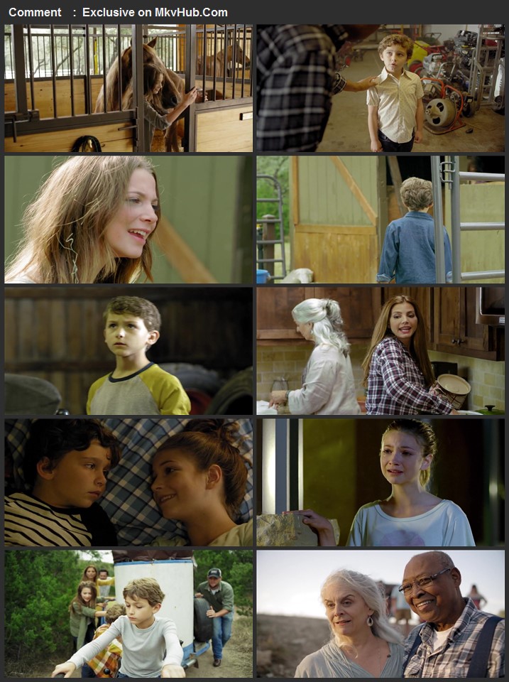 Pegasus: Pony with a Broken Wing 2019 English 720p WEB-DL 750MB Download