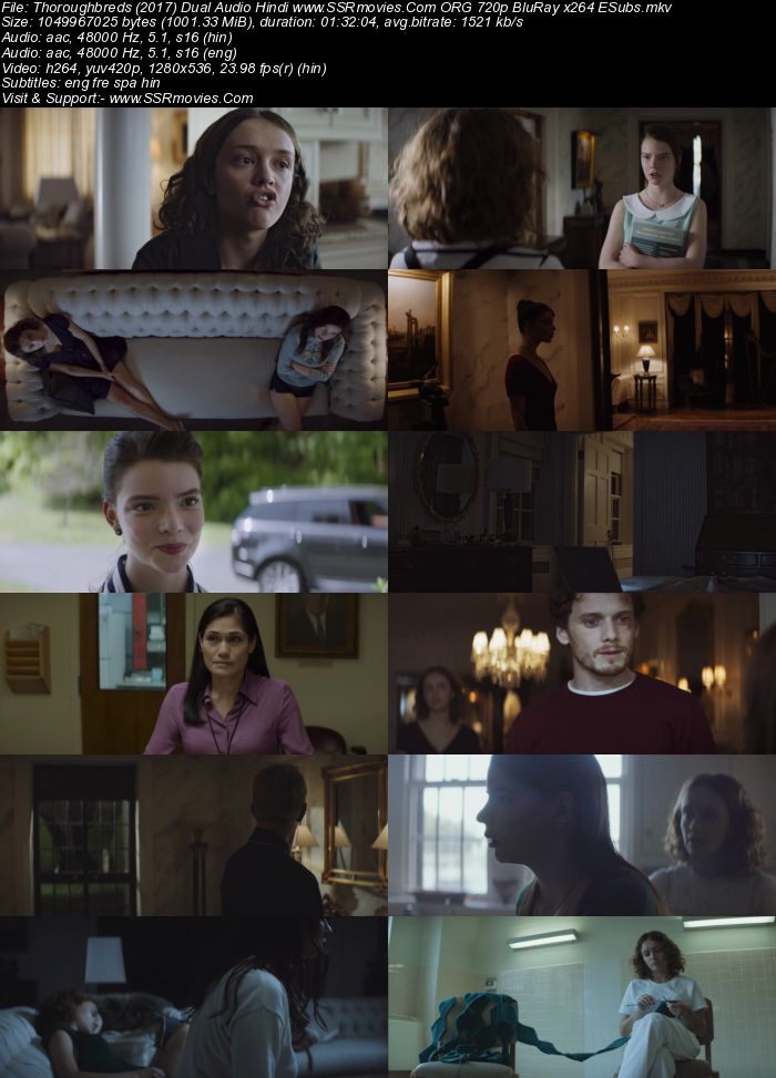 Thoroughbreds (2017) Dual Audio Hindi ORG 480p BluRay 350MB ESubs Full Movie Download