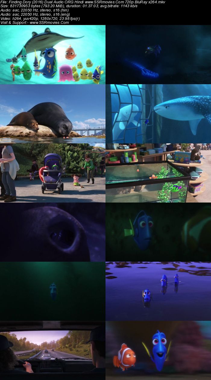 Finding Dory (2016) Dual Audio Hindi 480p BluRay x264 300MB Full Movie Download