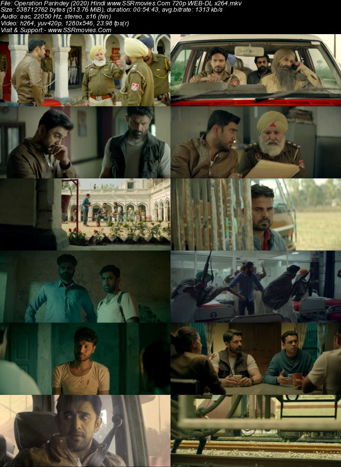 Operation Parindey (2020) Hindi 720p 480p WEB-DL x264 500MB Download