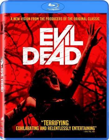 Evil Dead (2013) Dual Audio Hindi 480p BluRay x264 300MB Full Movie Download