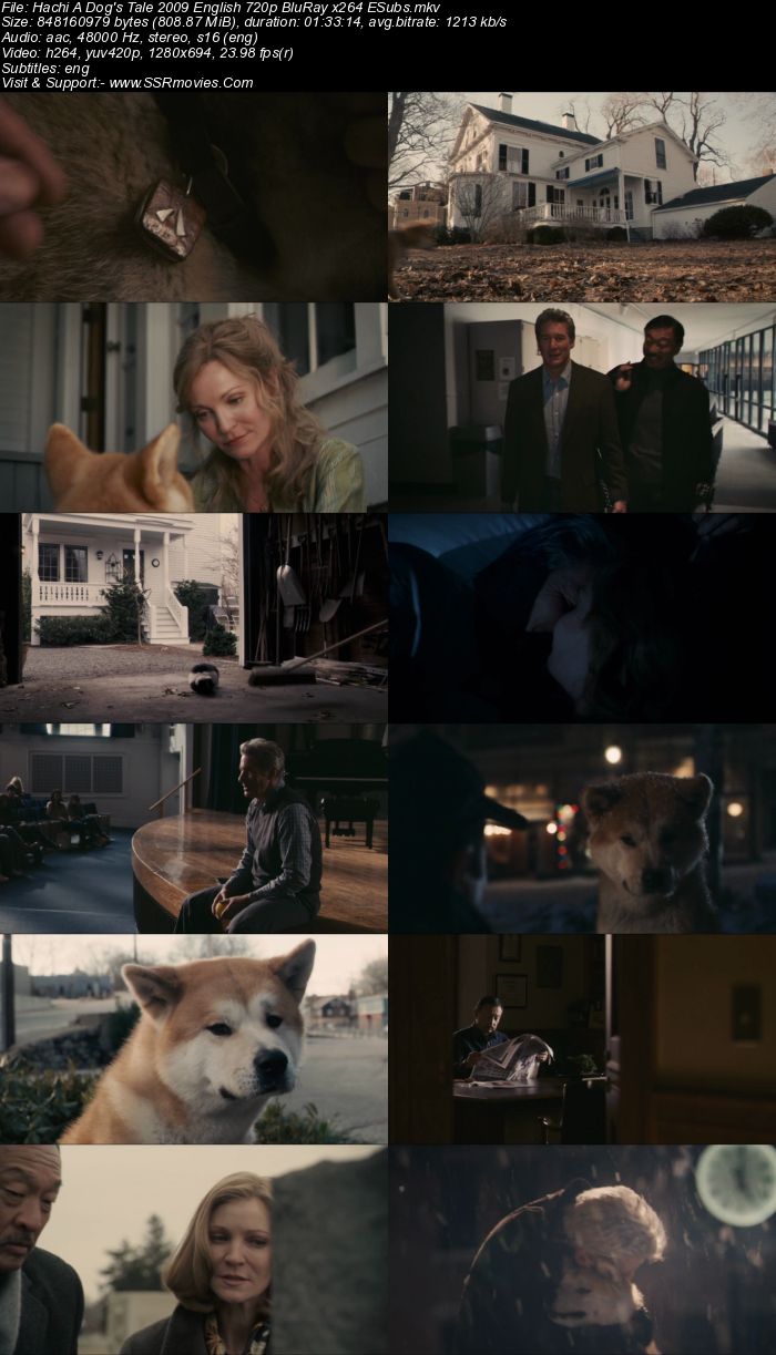 Hachi: A Dog's Tale (2009) English 480p BluRay x264 300MB ESubs Full Movie Download