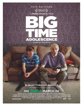 Big Time Adolescence 2019 English 720p WEB-DL 800MB ESubs