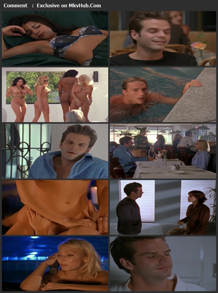 The Model Solution 2002 Dual Audio [Hindi-English] 480p DVDRip 800MB Download