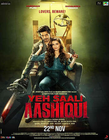 Yeh Saali Aashiqui (2019) Hindi 480p WEB-DL x264 400MB Full Movie Download