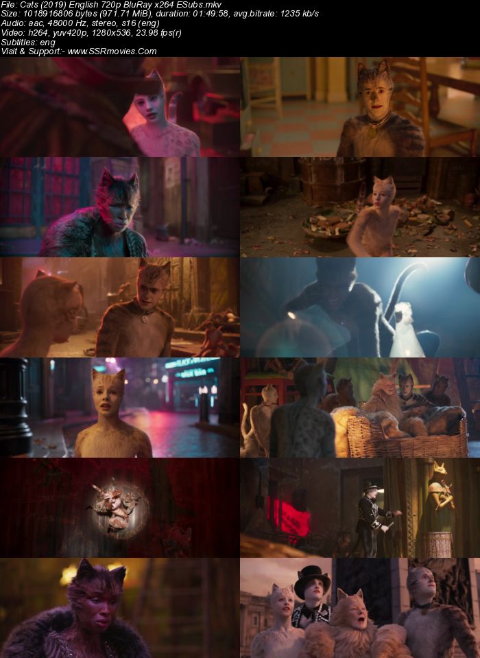 Cats (2019) English 480p BluRay x264 300MB ESubs Full Movie Download