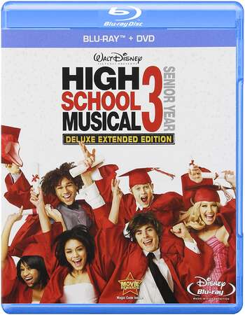 High School Musical 3 (2008) Dual Audio Hindi 480p BluRay x264 350MB Full Movie Download