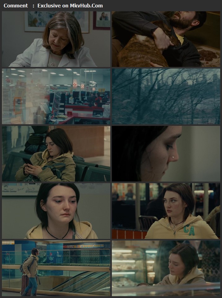 Never Rarely Sometimes Always 2020 English 720p WEB-DL 900MB Download