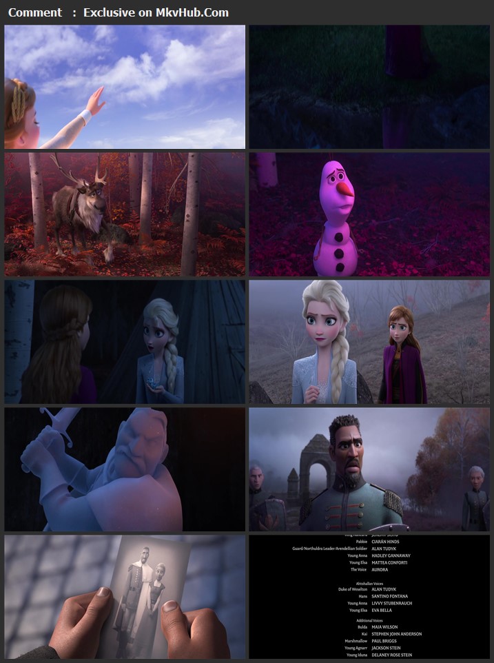 Frozen II 2019 Dual Audio [Hindi-English] 720p BluRay 1GB Download