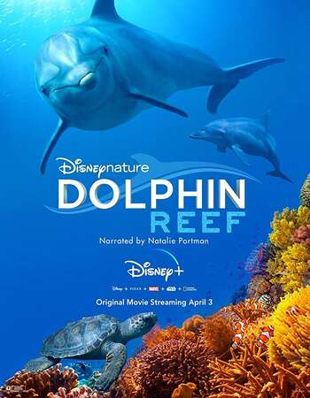 Dolphin Reef 2020 English 720p WEB-DL 650MB