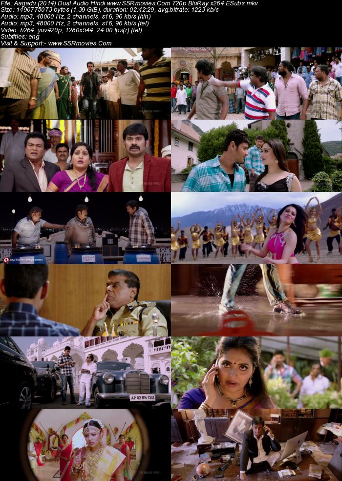 Aagadu (2014) Dual Audio Hindi 480p HDRip x264 550MB ESubs Full Movie Download