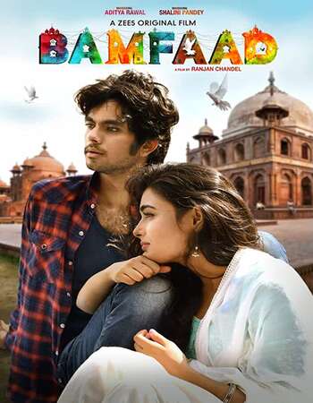 Bamfaad (2020) Hindi 480p HDRip x264 300MB ESubs Full Movie Download