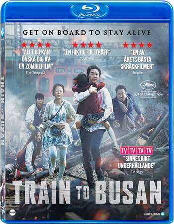 Train to Busan (2016) Dual Audio Hindi 480p BluRay x264 350MB ESubs Full Movie Download