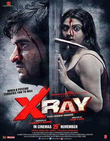 X Ray: The Inner Image (2019) Hindi 720p HDRip x264 900MB Full Movie Download