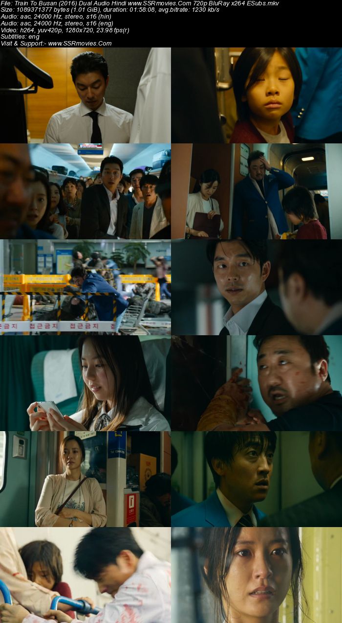 Train to Busan (2016) Dual Audio Hindi 720p BluRay x264 1GB Full Movie Download