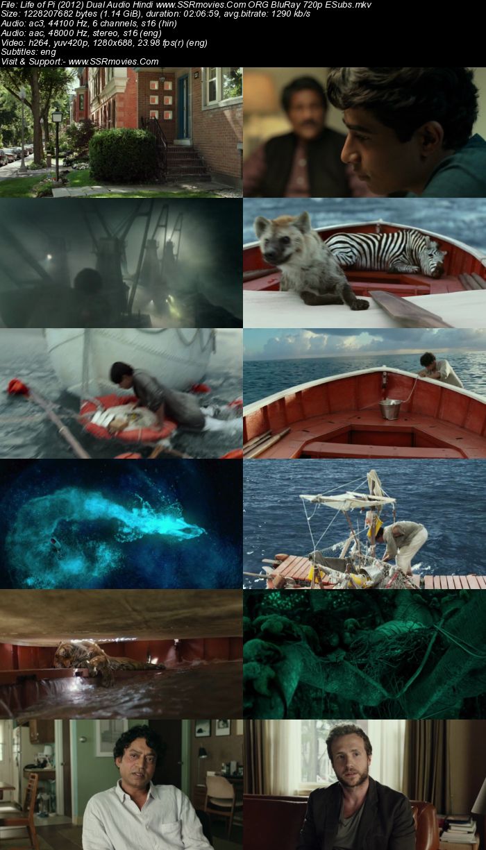 Life of Pi (2012) Dual Audio Hindi 720p BluRay x264 1.1GB Full Movie Download