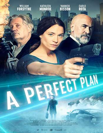 A Perfect Plan 2020 English 720p WEB-DL 750MB