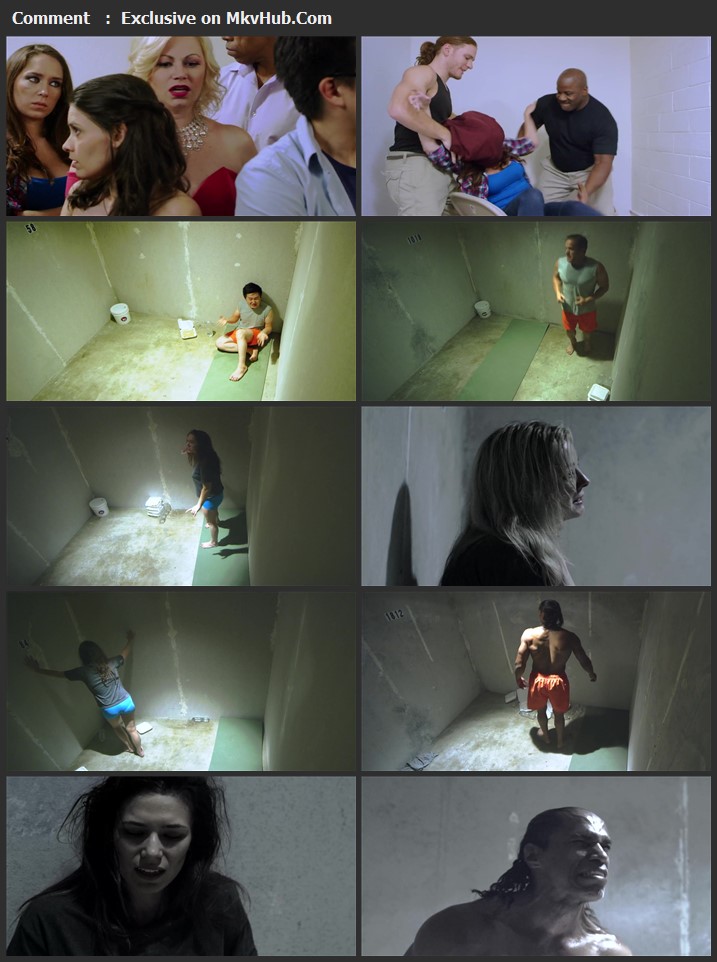Solitary Confinement 2017 English 720p WEB-DL 950MB Download