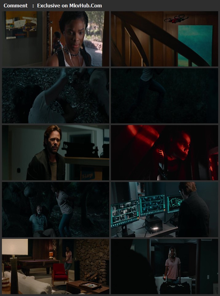 Breaking In 2018 Dual Audio [Hindi-English] 720p BluRay 900MB Download