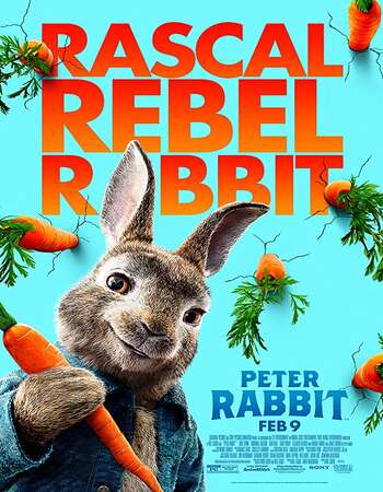 Peter Rabbit 2018 Dual Audio [Hindi-English] 720p BluRay 800MB ESubs