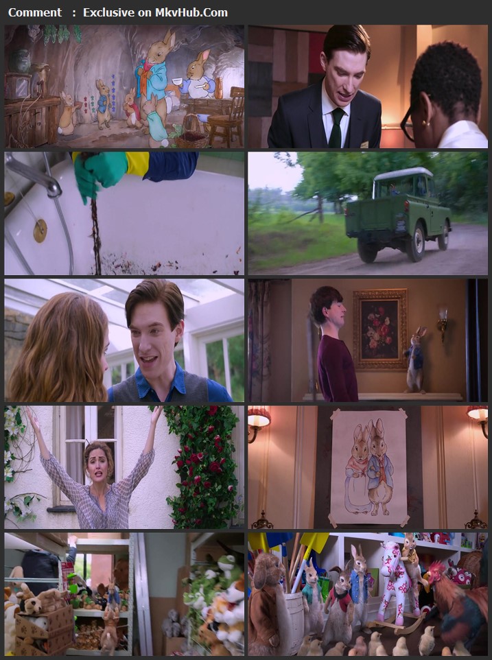 Peter Rabbit 2018 Dual Audio [Hindi-English] 720p BluRay 800MB Download