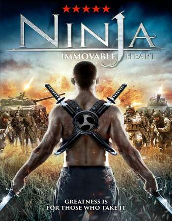 Ninja Immovable Heart (2014) Dual Audio Hindi 480p BluRay 300MB ESubs Full Movie Download