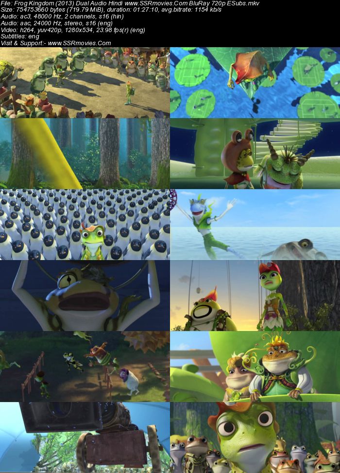 Frog Kingdom (2013) Dual Audio Hindi 480p BluRay x264 300MB ESubs Full Movie Download