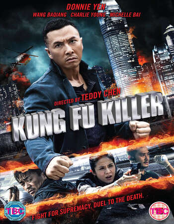 Kung Fu Jungle (2014) Dual Audio Hindi 480p BluRay x264 300MB ESubs Full Movie Download