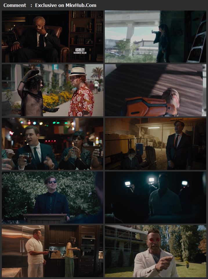 Killing Gunther 2017 Dual Audio [Hindi-English] 720p BluRay 800MB Download