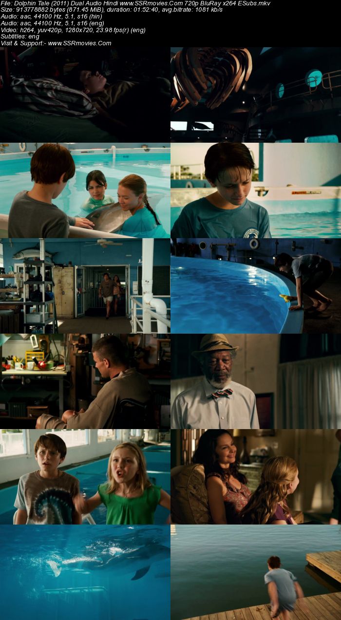 Dolphin Tale (2011) Dual Audio Hindi 720p BluRay x264 850MB Full Movie Download