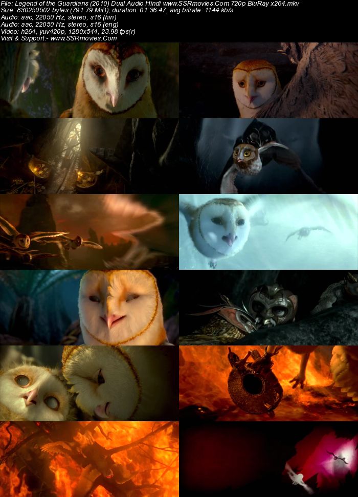 Legend of the Guardians: The Owls of Ga'Hoole (2010) Dual Audio Hindi 720p BluRay x264 800MB Full Movie Download