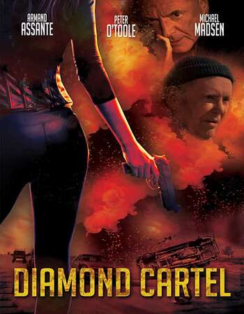 Diamond Cartel (2015) Dual Audio Hindi 720p WEB-DL x264 850MB Full Movie Download