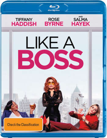 Like a Boss (2020) Dual Audio Hindi 480p BluRay x264 300MB ESubs Full Movie Download