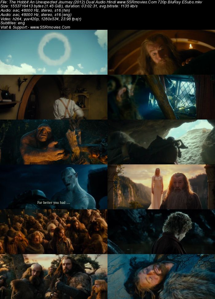 The Hobbit: An Unexpected Journey (2012) Dual Audio Hindi 720p BluRay x264 1.4GB Full Movie Download