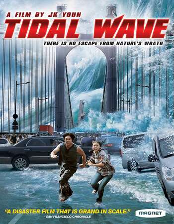 Tidal Wave 2009 Dual Audio [Hindi-Korean] 720p BluRay 1.1GB ESubs