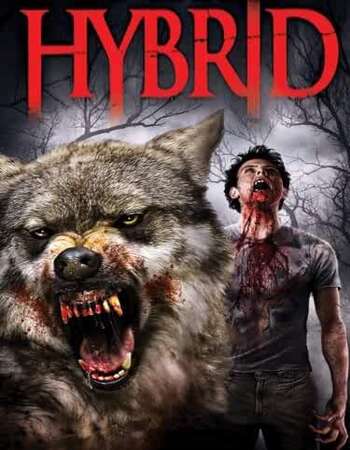 Hybrid (2007) Dual Audio Hindi 720p WEB-DL x264 850MB Full Movie Download