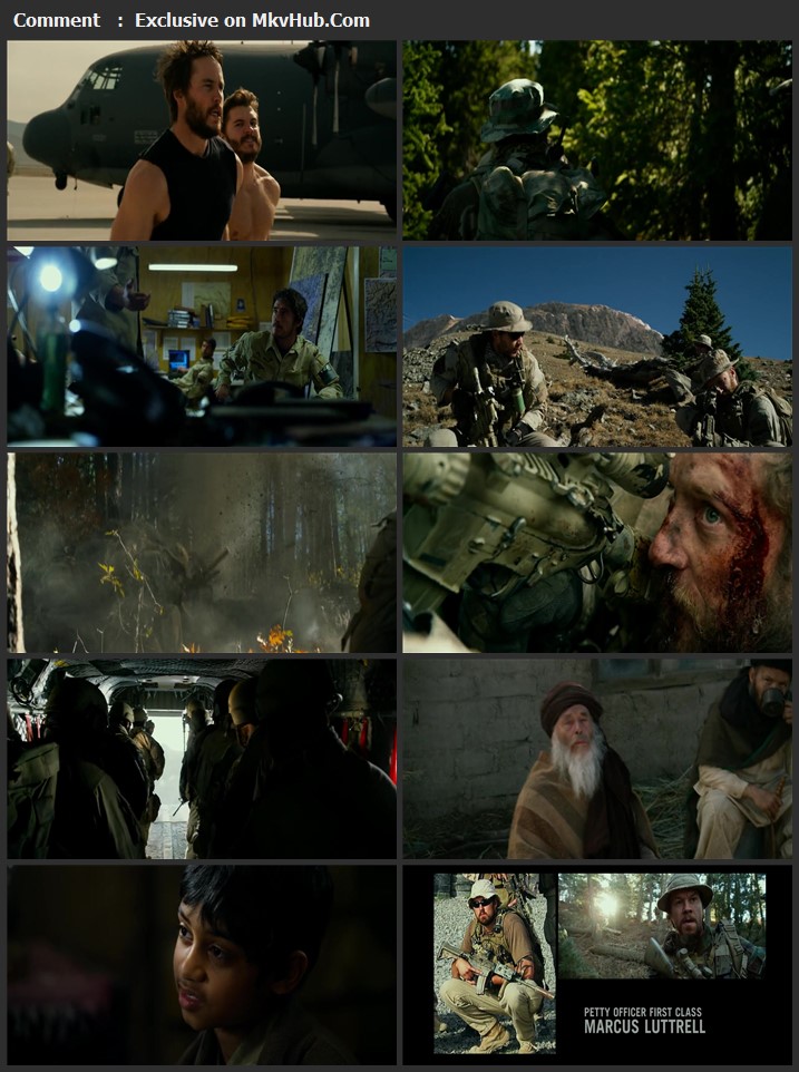 Lone Survivor 2013 Dual Audio [Hindi-English] 720p BluRay 950MB Download