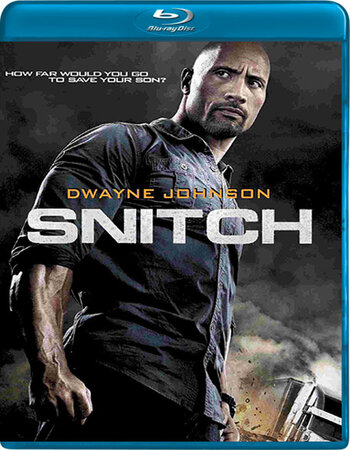 Snitch (2013) Dual Audio Hindi 720p BluRay x264 900MB Full Movie Download