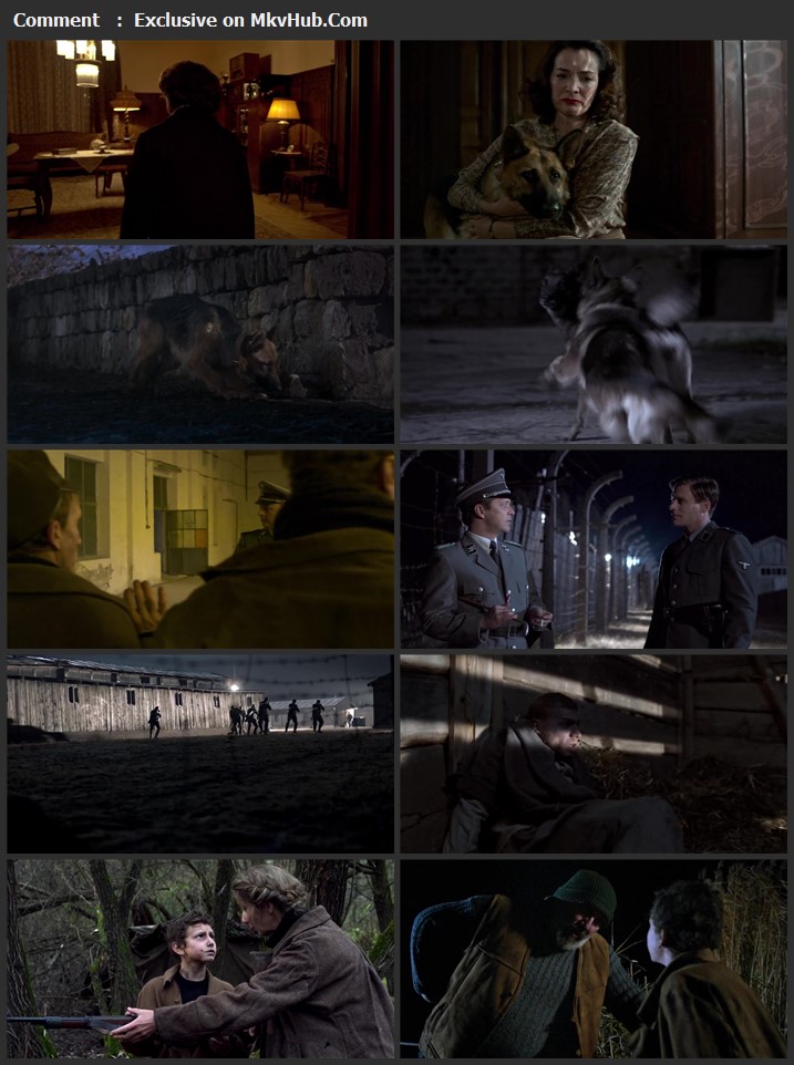 Shepherd The Hero Dog 2020 English 720p WEB-DL 800MB Download