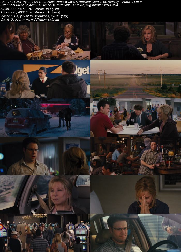 The Guilt Trip (2012) Dual Audio Hindi 720p BluRay x264 800MB Full Movie Download