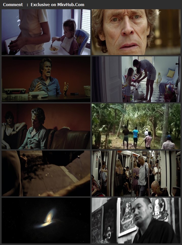 Tommaso 2020 English 720p WEB-DL 1GB Download