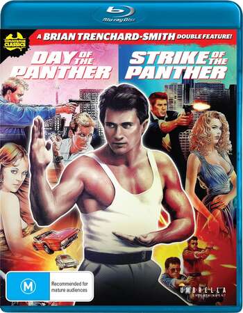 Strike of the Panther (1988) Dual Audio Hindi 720p BluRay x264 950MB Full Movie Download