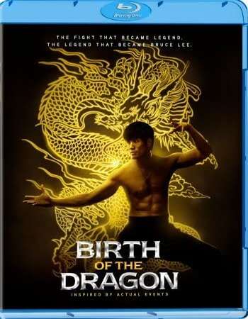 Birth of the Dragon (2016) Dual Audio Hindi 480p BluRay 300MB ESubs Full Movie Download