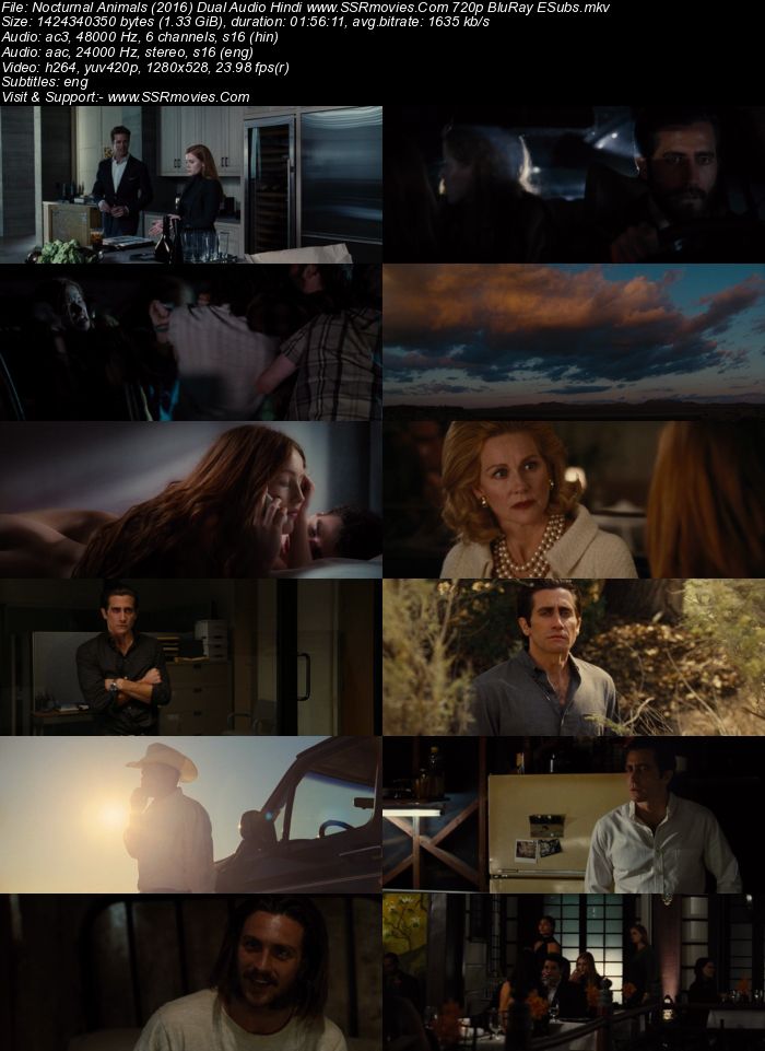 Nocturnal Animals (2016) Dual Audio Hindi 480p BluRay 350MB ESubs Full Movie Download