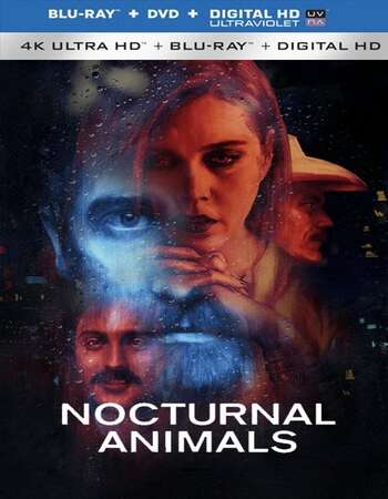 Nocturnal Animals (2016) Dual Audio Hindi 720p BluRay x264 1.3GB Full Movie Download