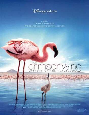 The Crimson Wing (2008) Dual Audio Hindi 480p BluRay x264 250MB Full Movie Download