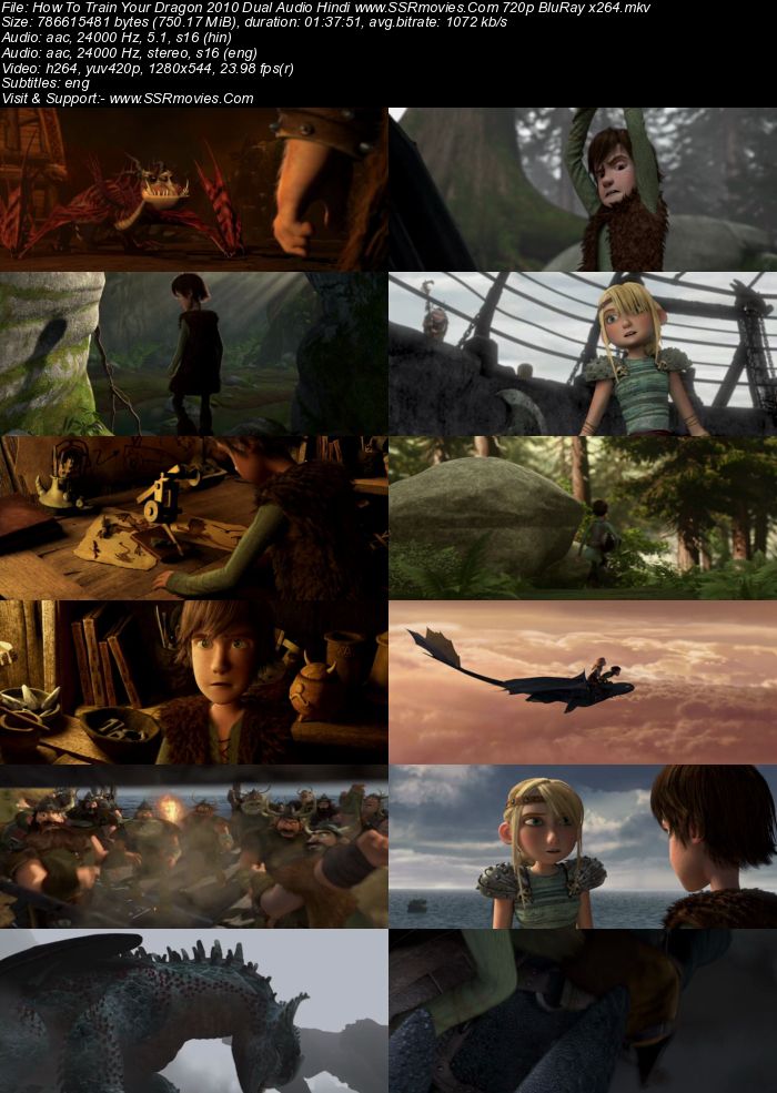 How to Train Your Dragon (2010) Dual Audio Hindi 720p BluRay x264 750MB Full Movie Download