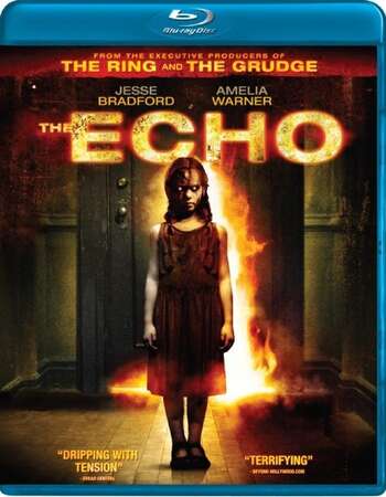 The Echo (2008) Dual Audio Hindi 480p BluRay x264 300MB ESubs Full Movie Download