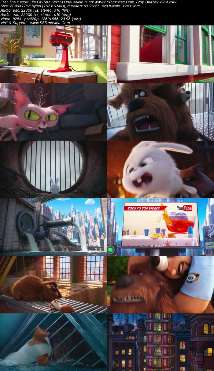 The Secret Life of Pets (2016) Dual Audio Hindi 480p BluRay 300MB ESubs Full Movie Download